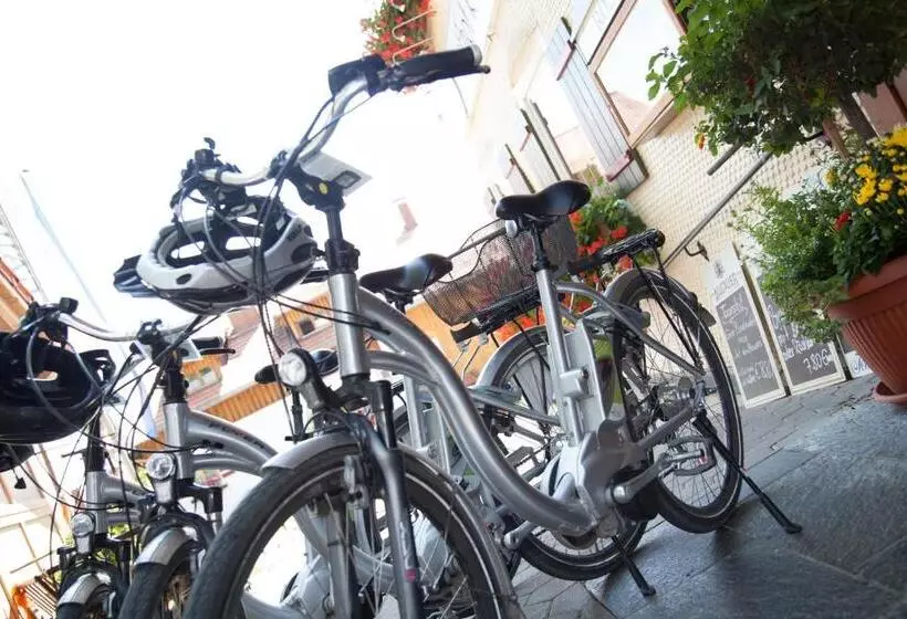 פנסיון Gasthof Rose