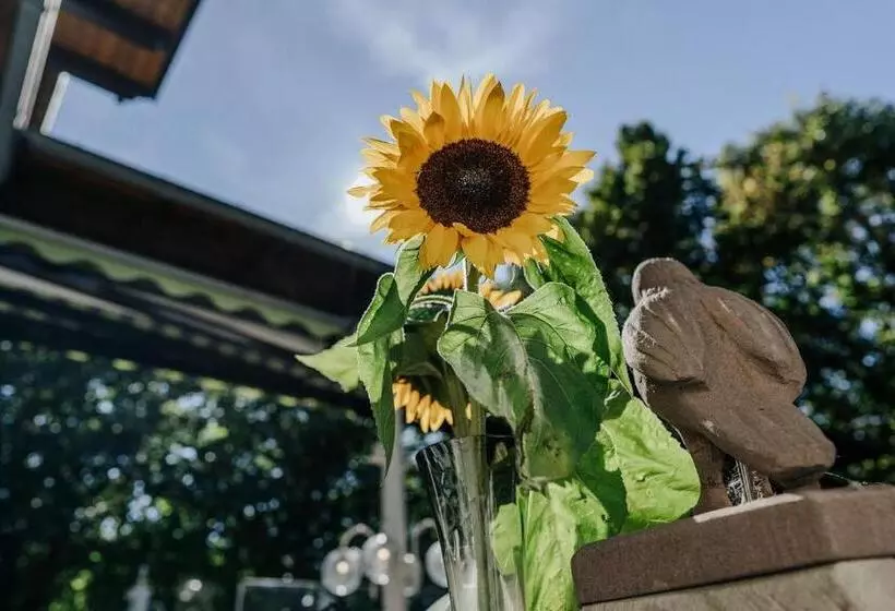 膳宿费 Landgasthof Adler