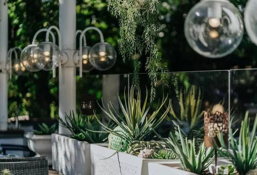 膳宿费 Landgasthof Adler