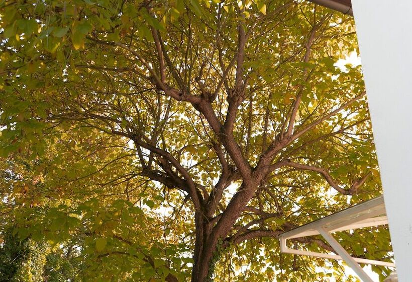 Villa Benz Hotel Garni