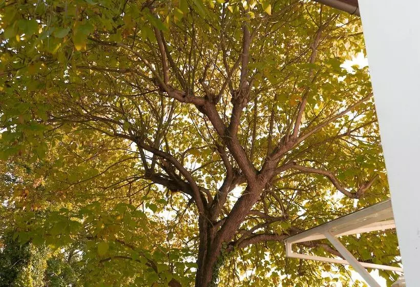 Villa Benz Hotel Garni