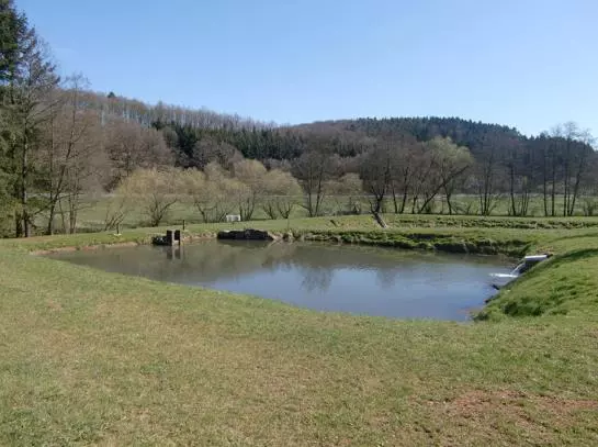 Waldhotel Glimmesmühle