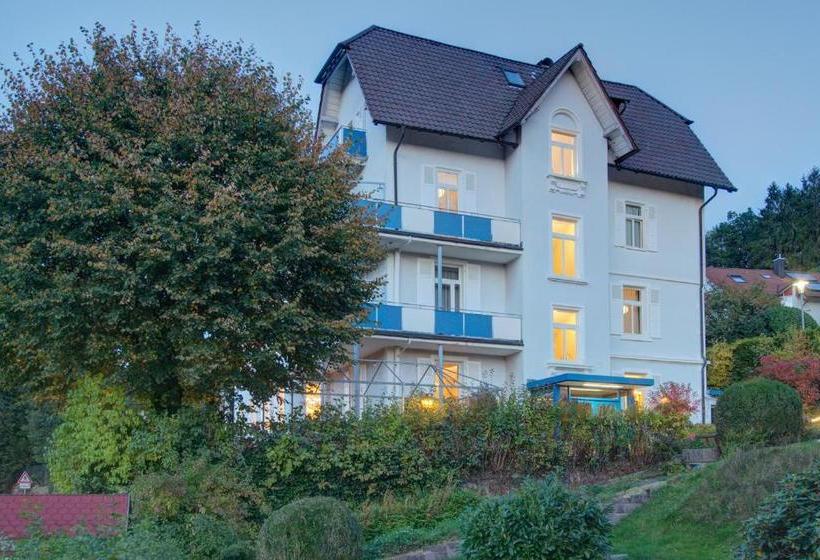 Bed and Breakfast Fidelitas