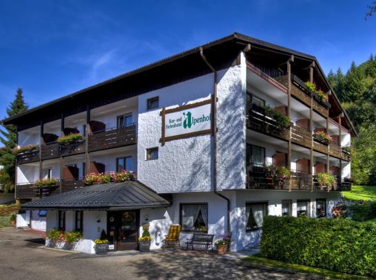 Отель Alpenhof