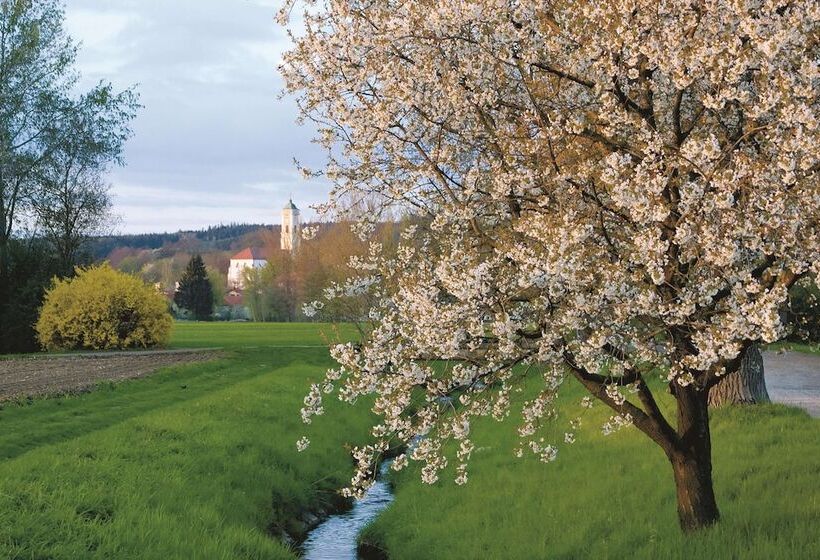 Best Western Aparthotel Birnbachhöhe