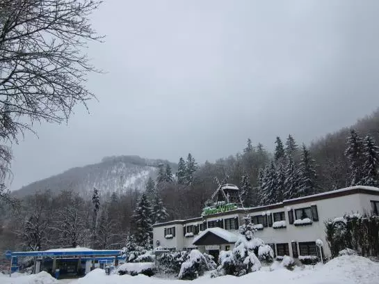 ホテル Harz Autel