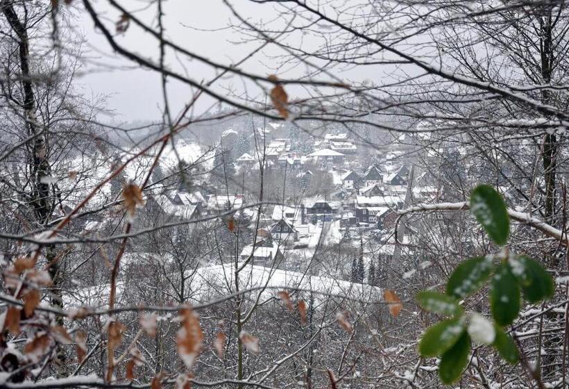 Отель Haus Dümling