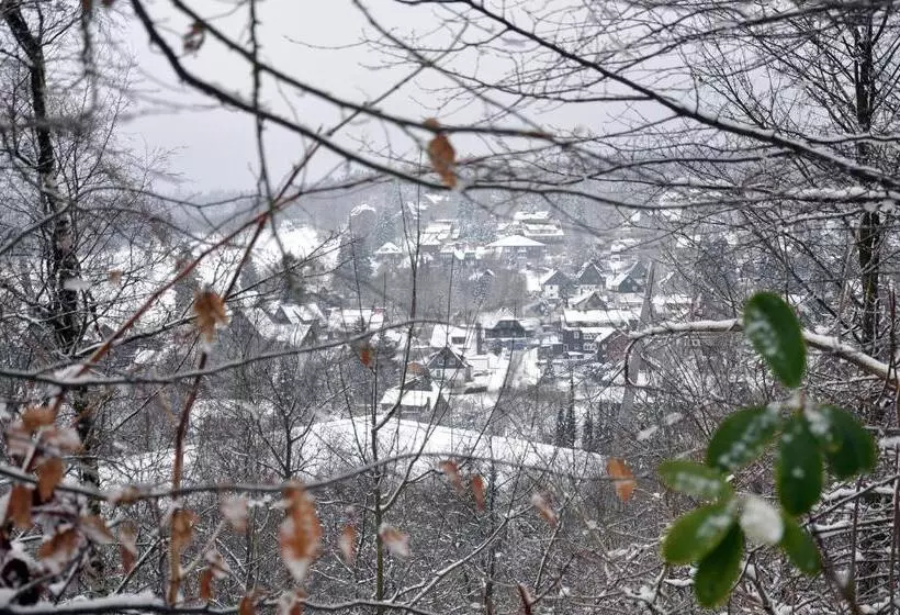 酒店 Haus Dümling