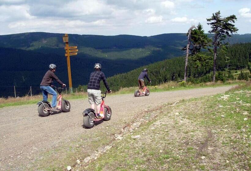 Отель Haus Dümling