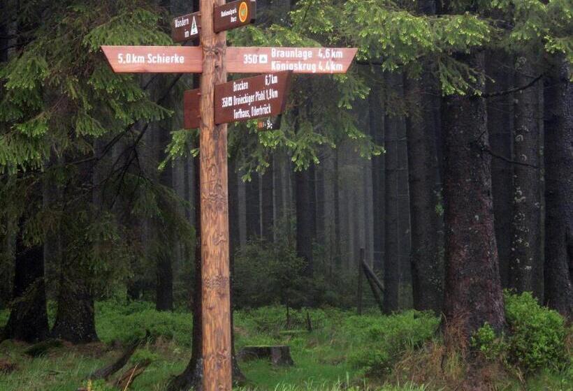 Отель Haus Dümling