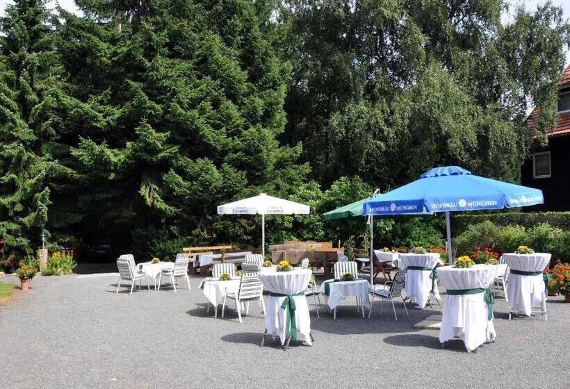 Отель Haus Dümling