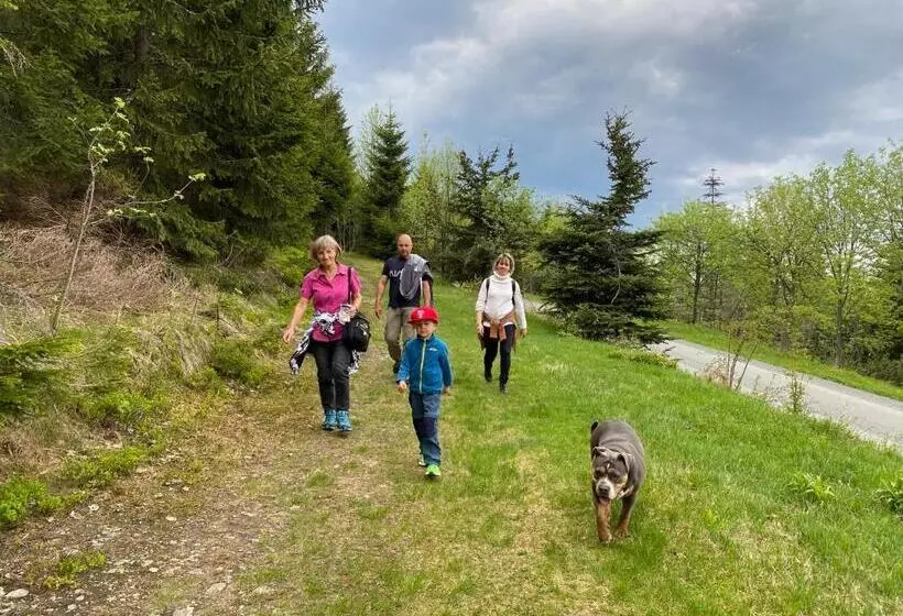 هتل Rotgiesserhaus