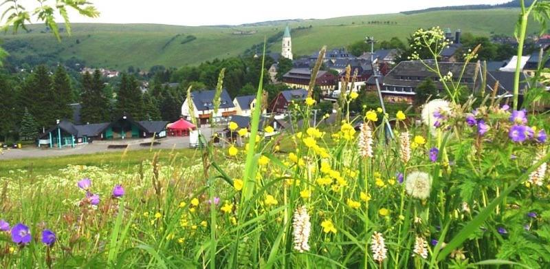 هتل Rotgiesserhaus