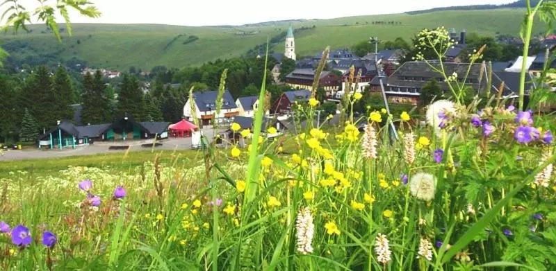 هتل Rotgiesserhaus