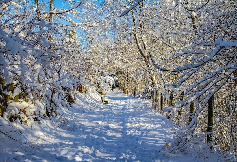 בית מלון כפרי Schneider