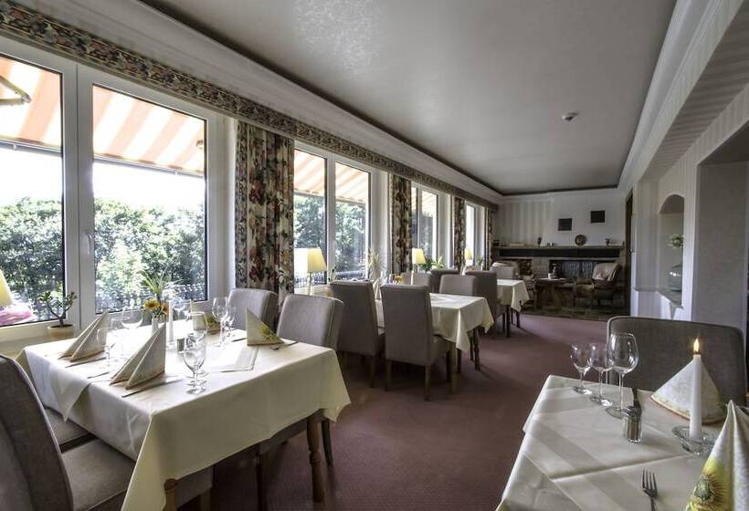 בית מלון כפרי Schneider