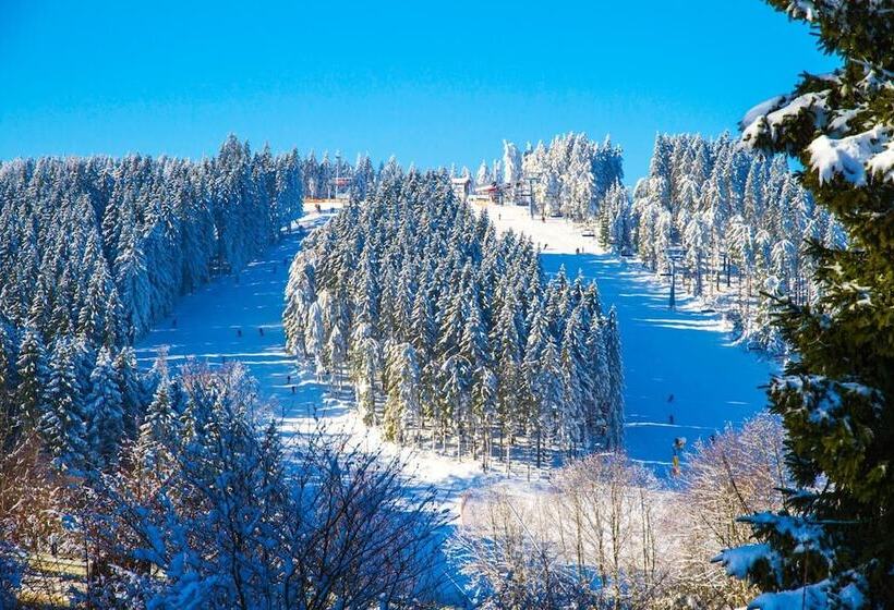 בית מלון כפרי Schneider