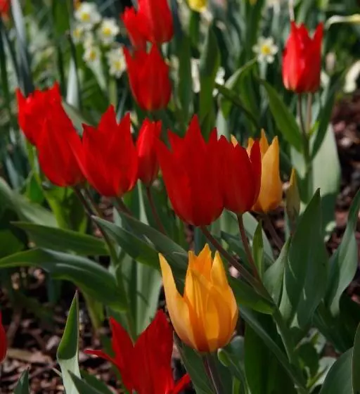 호텔 Waldblick Kniebis