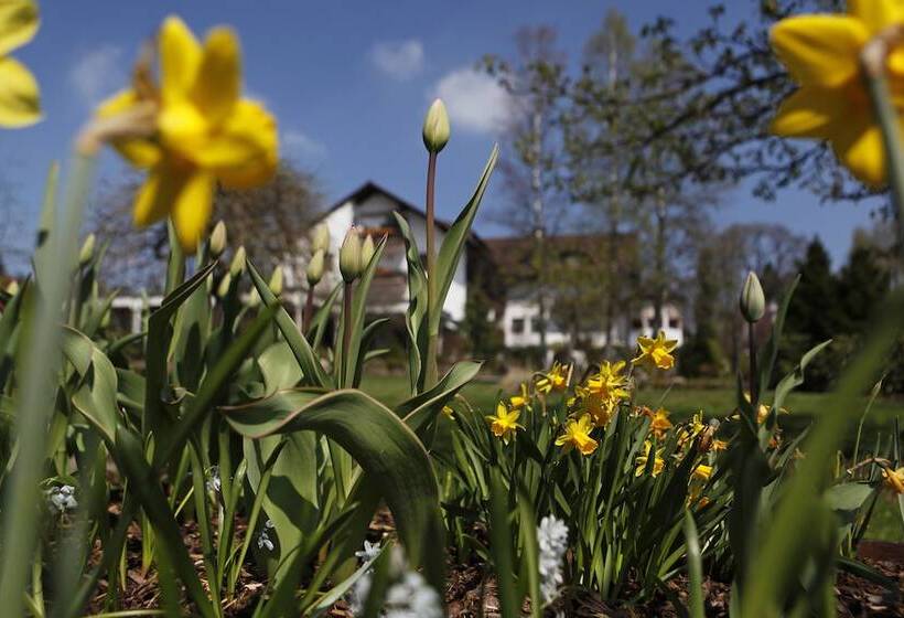 Hotel Waldblick Kniebis
