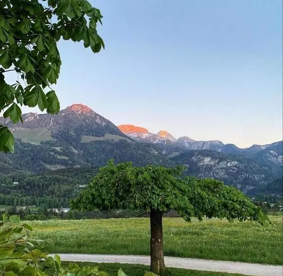 Pension Kohlhiasl
