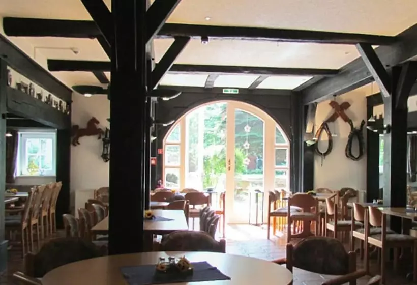 Ferien  Und Reitsport Hotel Brunnenhof