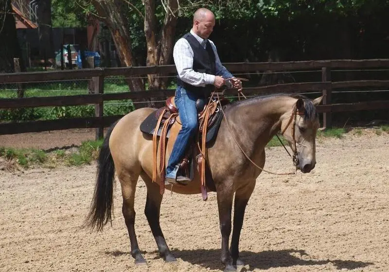 Ferien Und Reitsport Hotel Brunnenhof