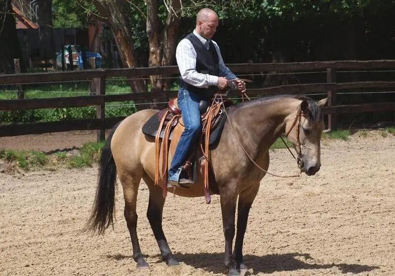 Ferien Und Reitsport Hotel Brunnenhof
