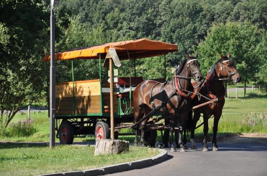 Greenline Waldhotel Forsthaus Dröschkau