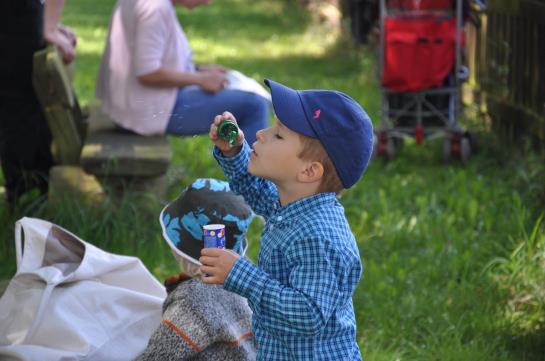 Greenline Waldhotel Forsthaus Dröschkau
