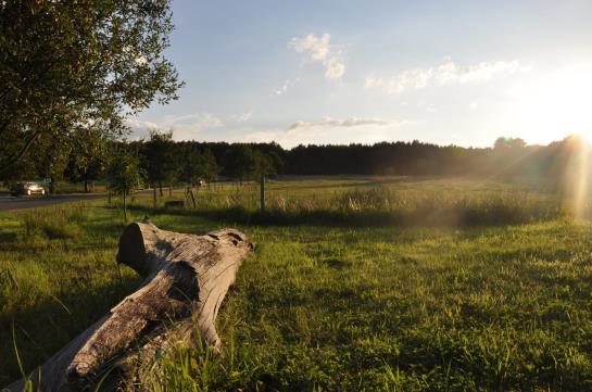Greenline Waldhotel Forsthaus Dröschkau