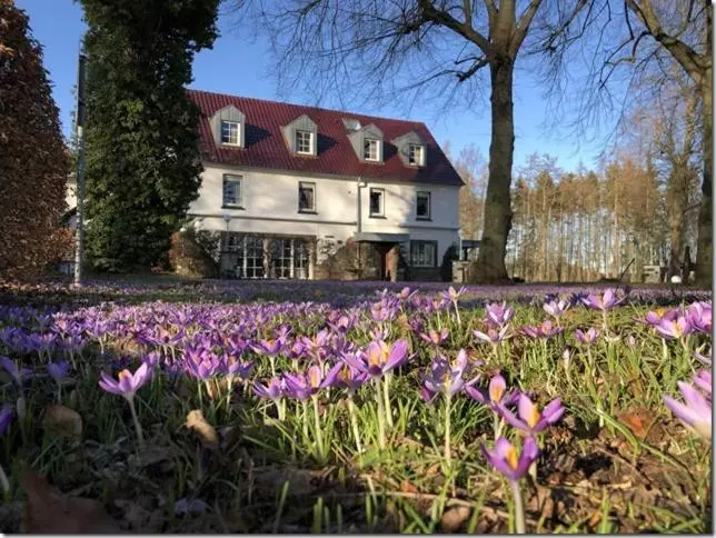 هتل Gutshof Wellenbad