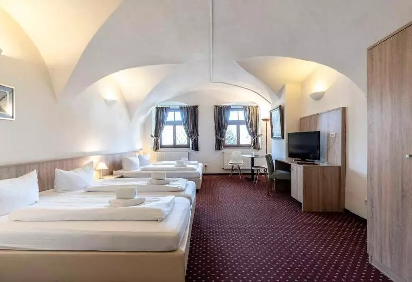 ホテル Alter Wirt