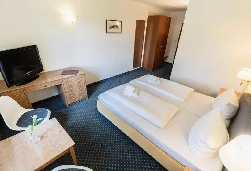 ホテル Alter Wirt