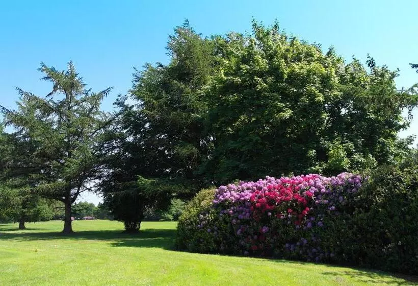 Отель Blauer Fasan