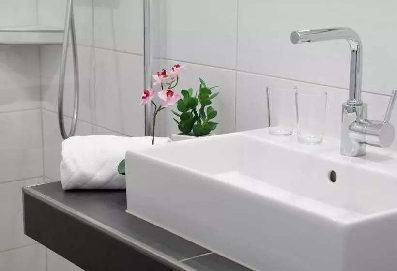 Отель Blauer Fasan