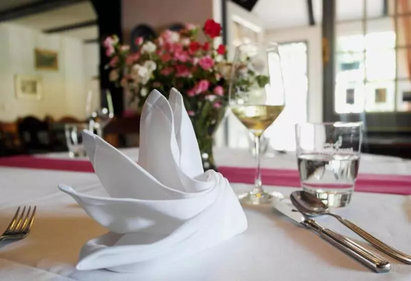 Отель Blauer Fasan