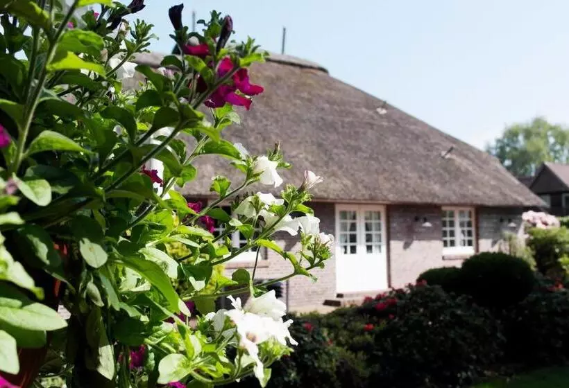 Отель Blauer Fasan