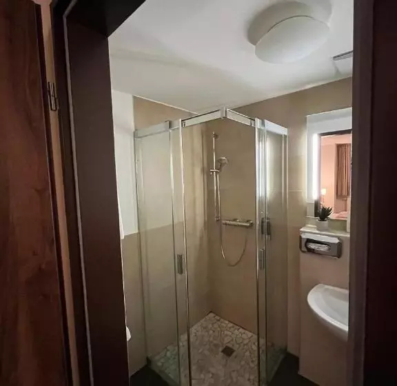 Отель Gasthaus Lindenhof