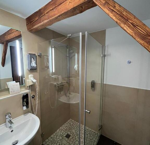 Отель Gasthaus Lindenhof