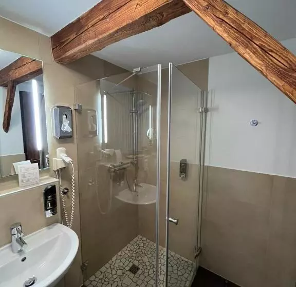 Отель Gasthaus Lindenhof