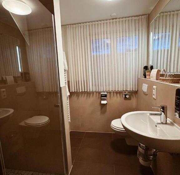 Отель Gasthaus Lindenhof