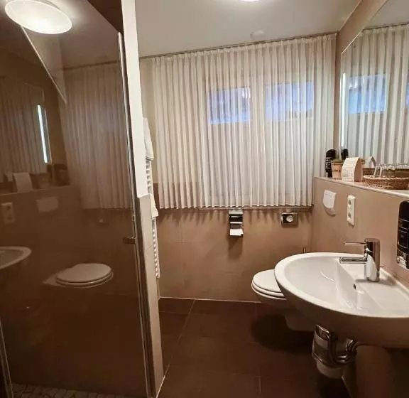 Отель Gasthaus Lindenhof