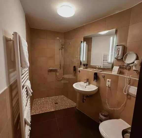 Отель Gasthaus Lindenhof