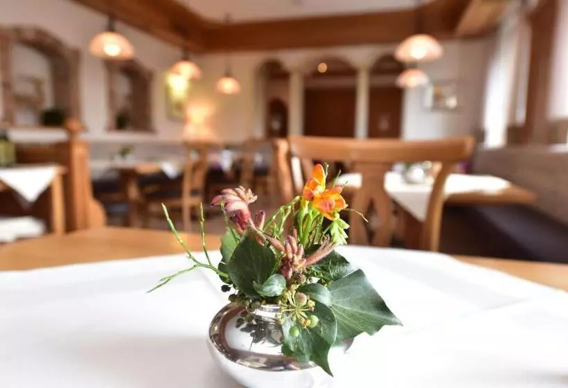 هتل & Gasthof Richard Held