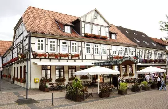 فندق Goldener Loewe