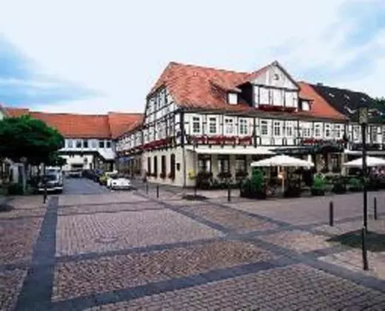 فندق Goldener Loewe