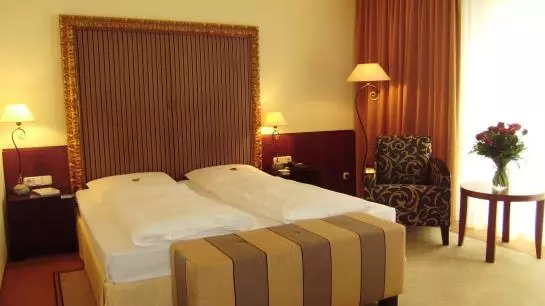 فندق Goldener Loewe