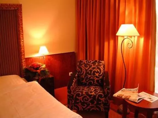 فندق Goldener Loewe