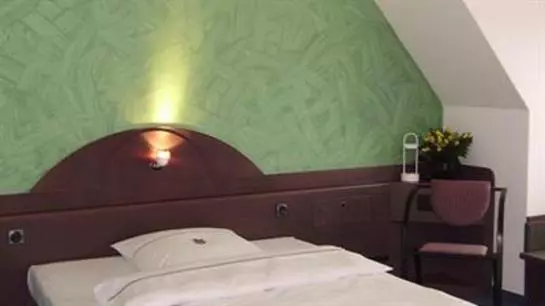 فندق Goldener Loewe