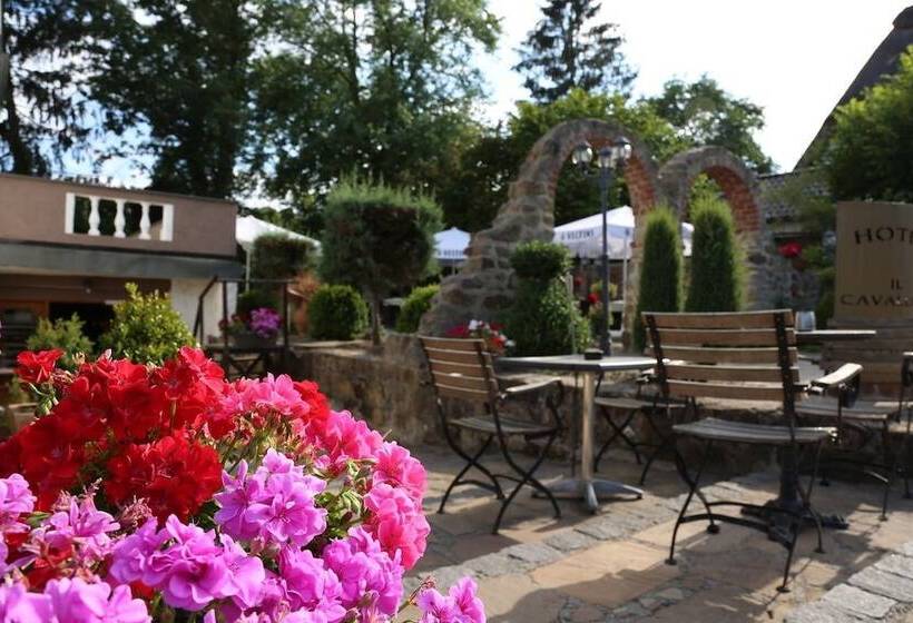 Отель Il Cavallino